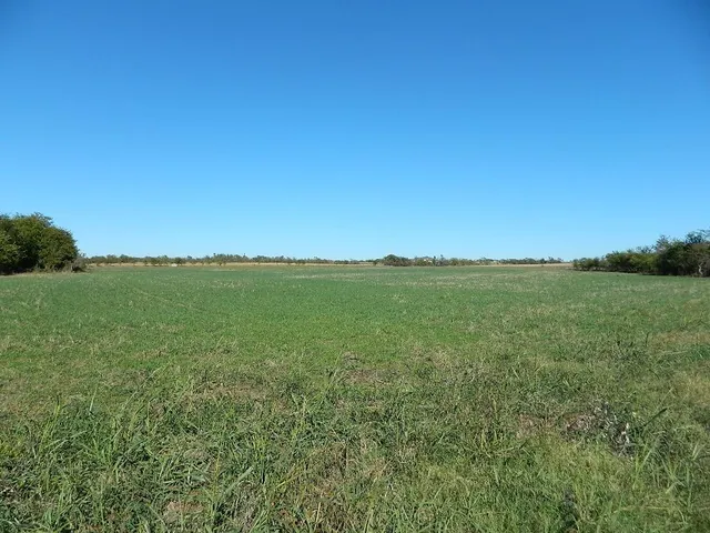 a view of a lake with a city view