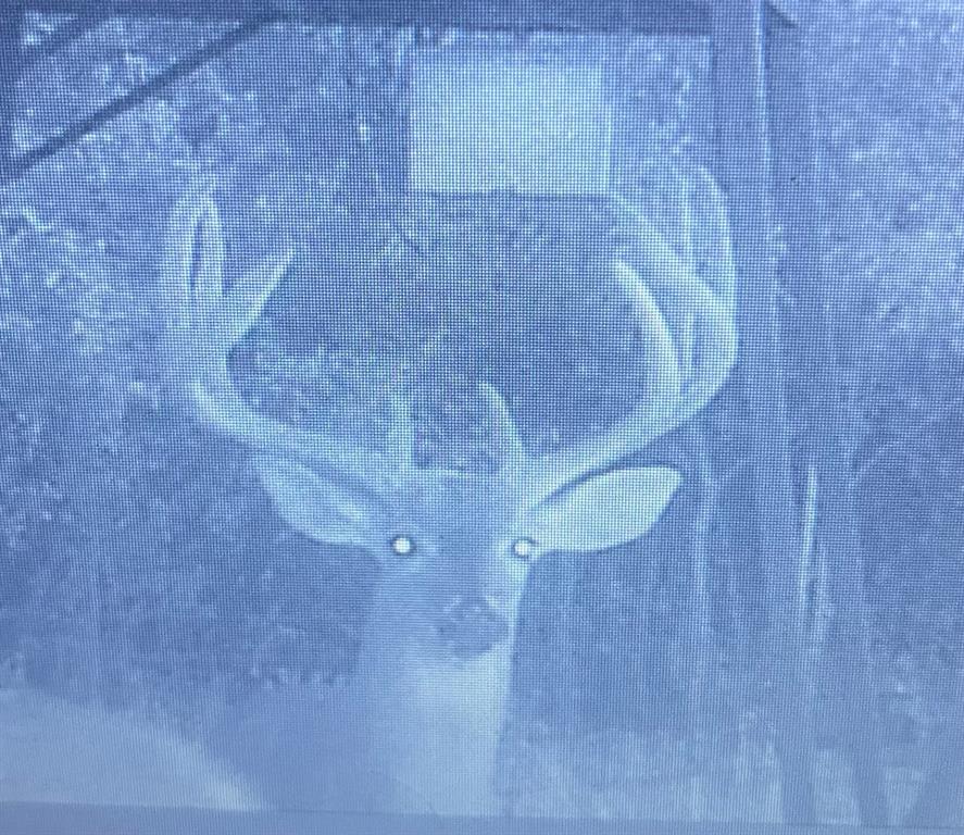 2435 County Road 247 Valley View, TX 76272 - Photo 19 of 40 a bathroom with a granite countertop sink and vanity
