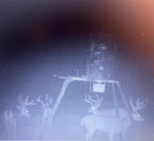 a view of a lake with houses in the back