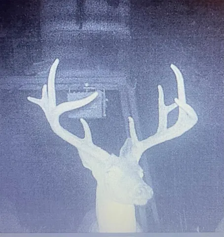a view of a yard with wooden fence