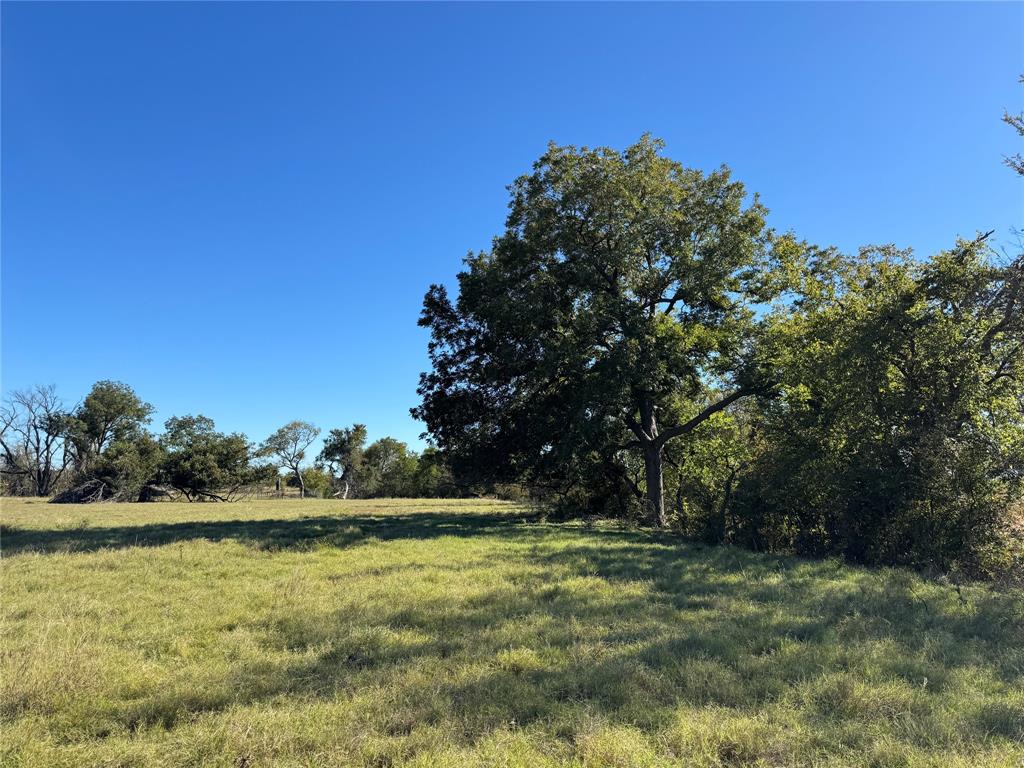 2435 County Road 247 Valley View, TX 76272 - Photo 27 of 40 a view of a yard