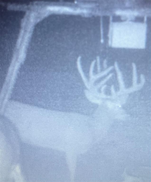 2435 County Road 247 Valley View, TX 76272 - Photo 32 of 40 a view of basement