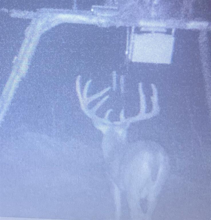 2435 County Road 247 Valley View, TX 76272 - Photo 35 of 40 a view of bathtub