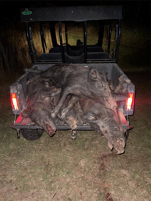 2435 County Road 247 Valley View, TX 76272 - Photo 36 of 40