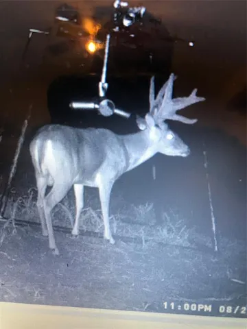 $2,871,570 | 2435 County Road 247, Valley View, TX 76272