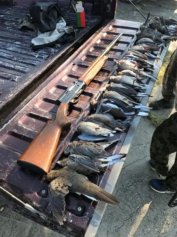 $2,871,570 | 2435 County Road 247, Valley View, TX 76272