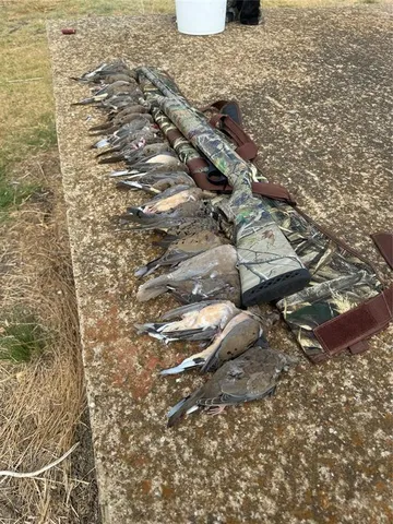 $2,871,570 | 2435 County Road 247, Valley View, TX 76272