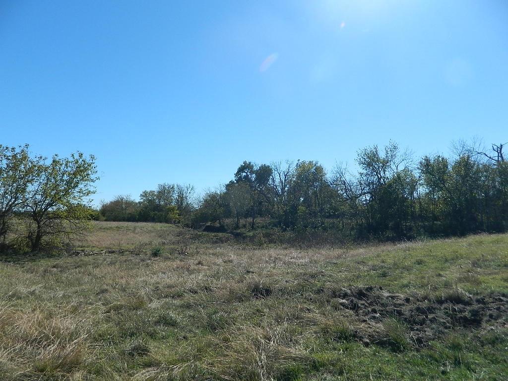 2435 County Road 247 Valley View, TX 76272 - Photo 7 of 40 a view of a field with trees in background