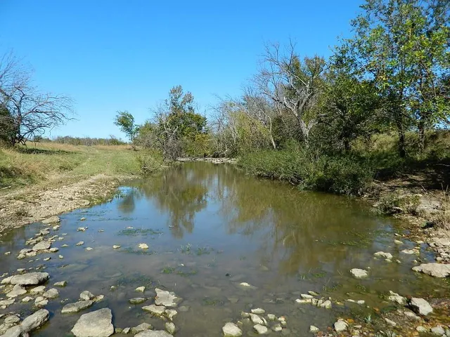 a view of a lake with a tree