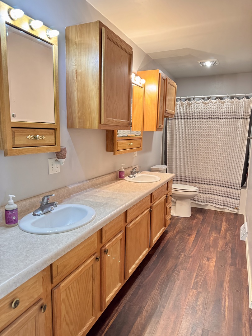 402 Woodside Place Dixon, IL 61021 - Photo 8 of 17 a spacious bathroom with a double vanity sink a mirror and a shower