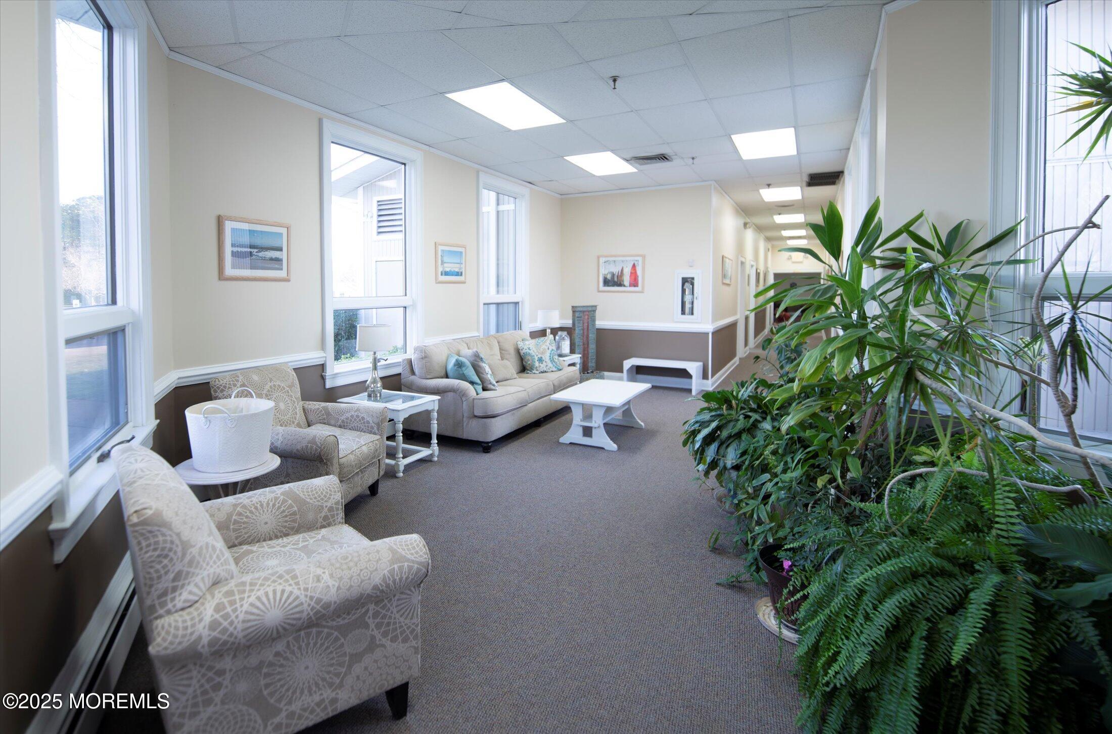 35 Patmore Road Brick, NJ 08724 - Photo 50 of 65 a living room with furniture and a potted plant