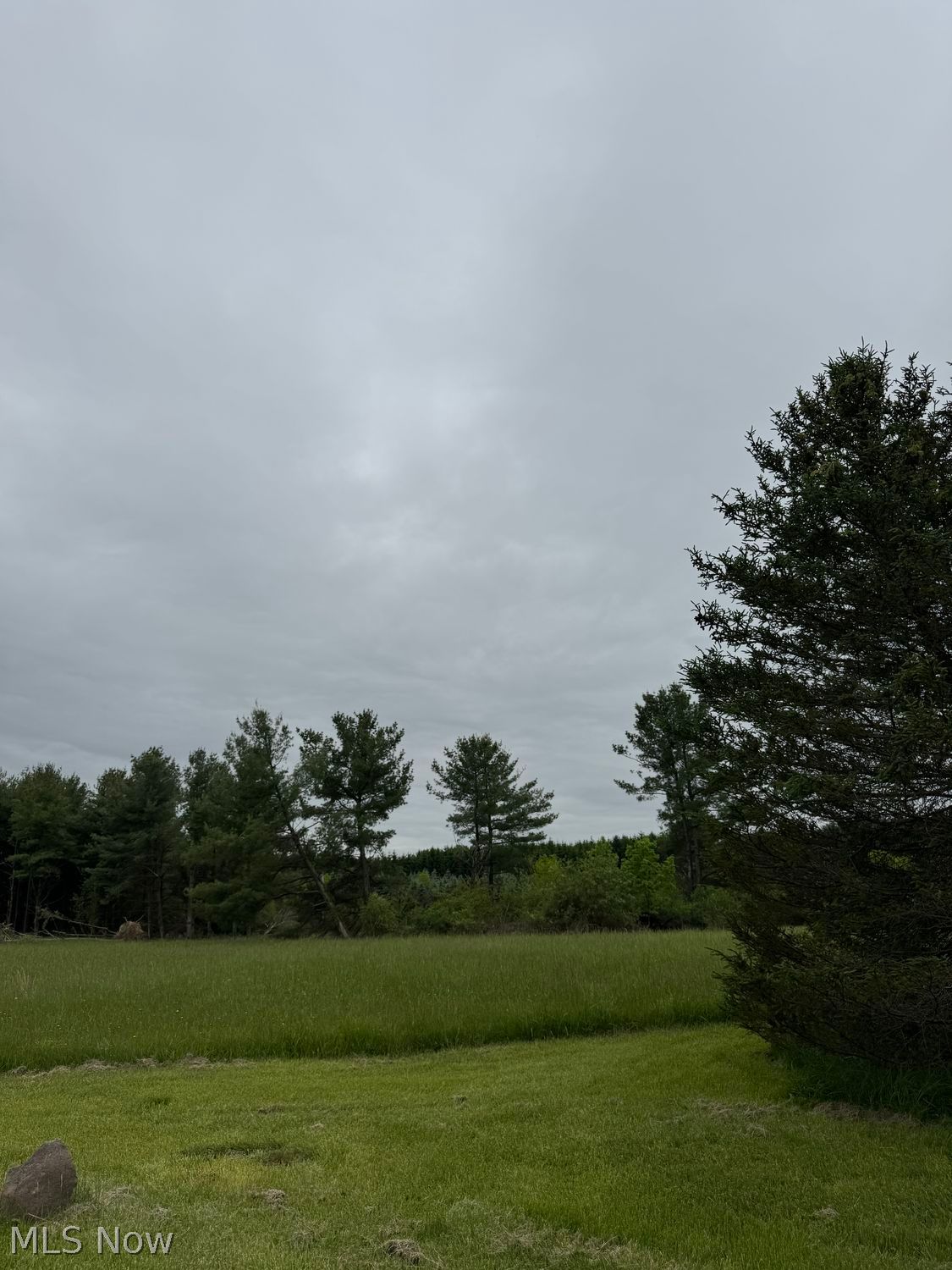 0 Coon Club Road Medina, OH 44256 - Photo 2 of 3