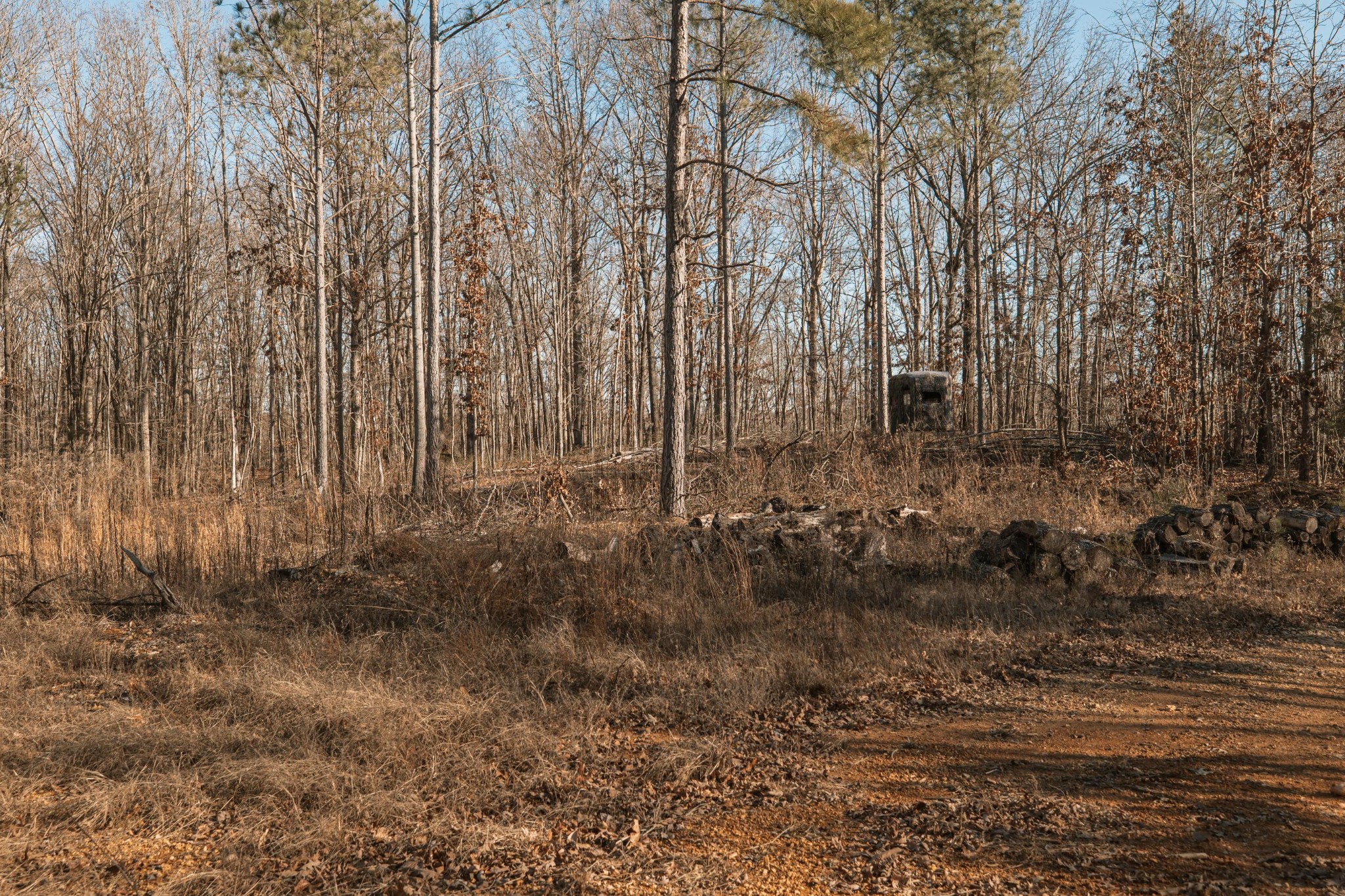 275 Preston Baggett Road Tennessee Ridge, TN 37178 - Photo 30 of 100 Gallery Image 30