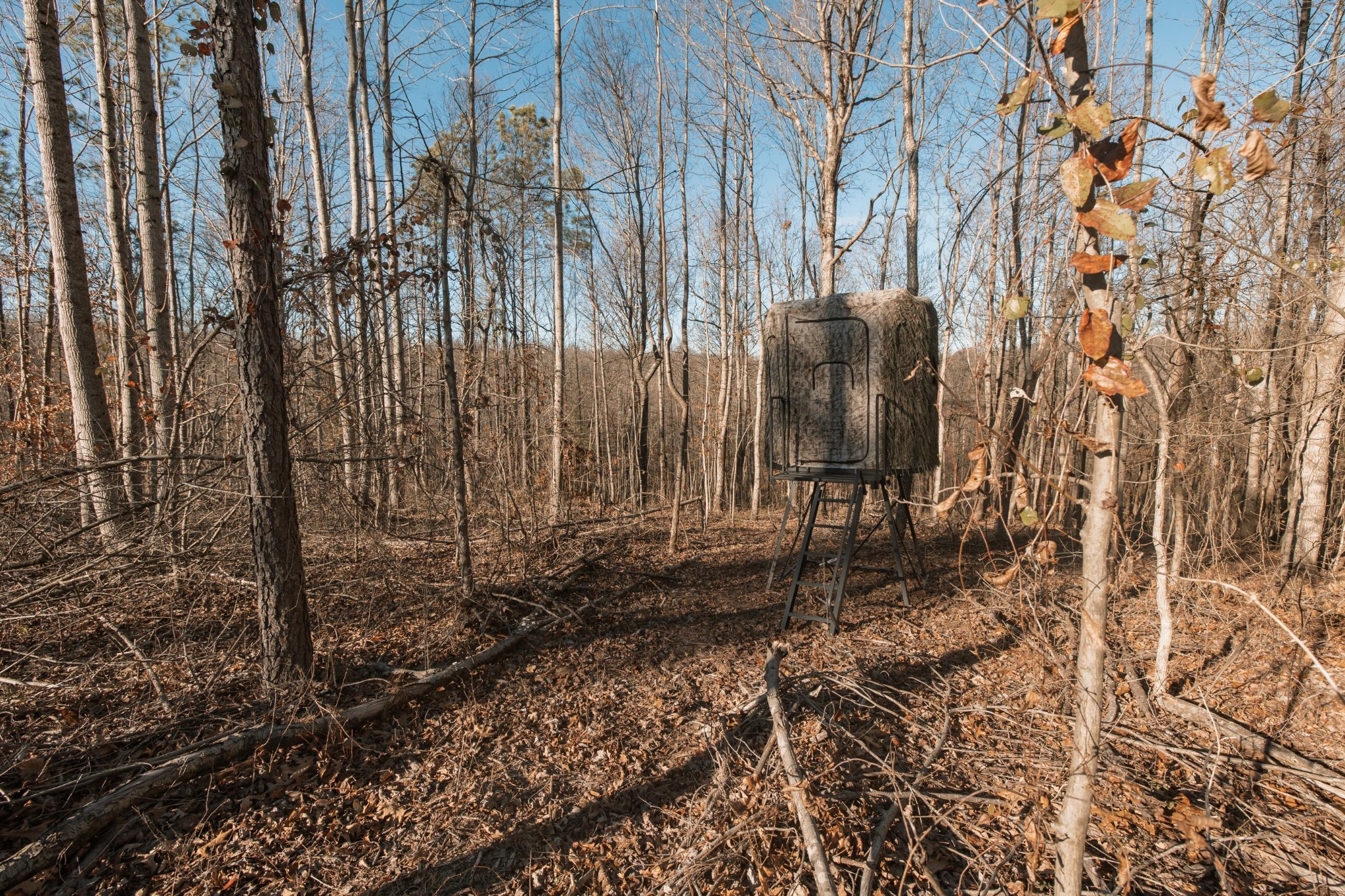 275 Preston Baggett Road Tennessee Ridge, TN 37178 - Photo 33 of 100 Gallery Image 33