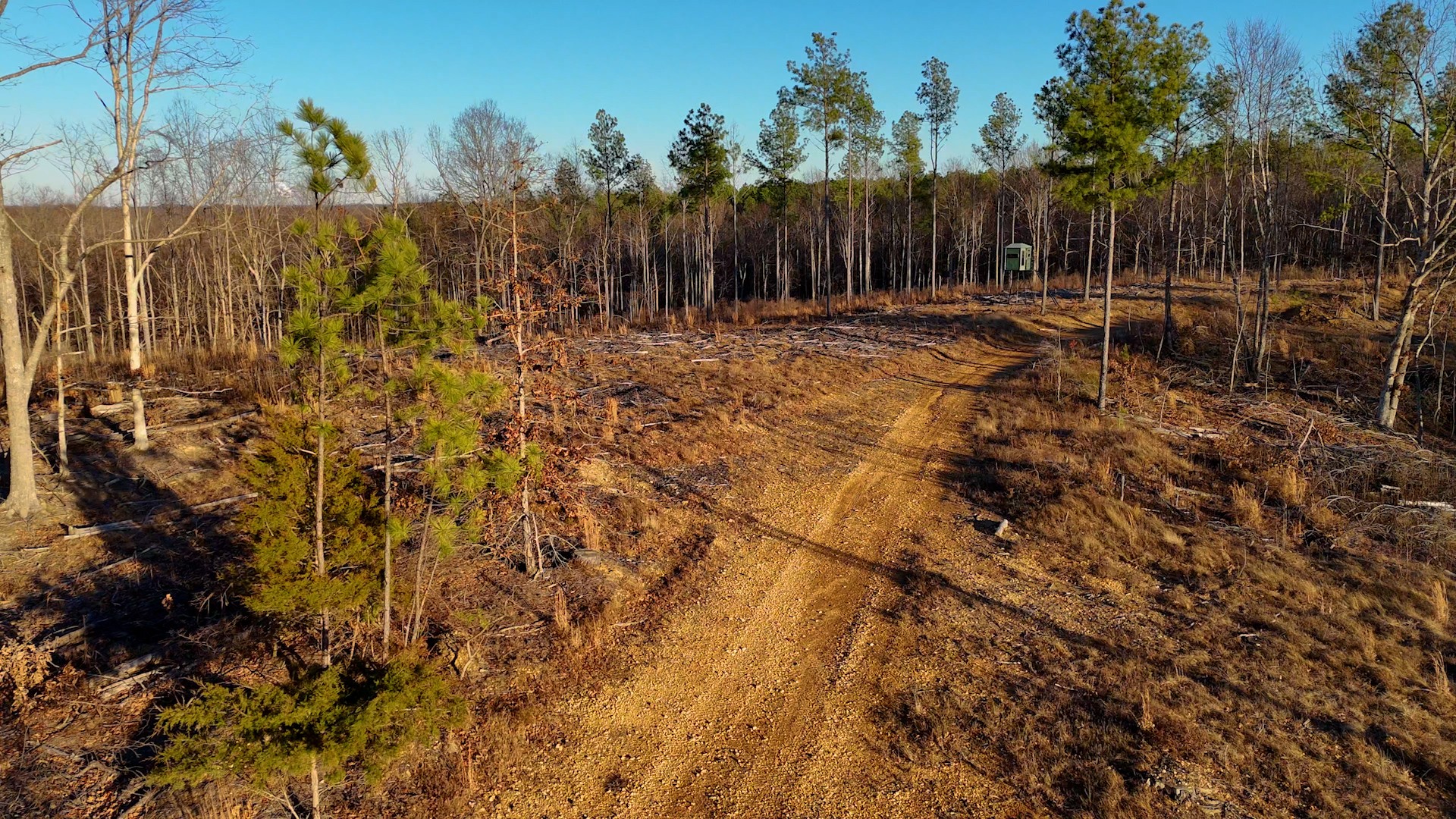275 Preston Baggett Road Tennessee Ridge, TN 37178 - Photo 39 of 100 Gallery Image 39