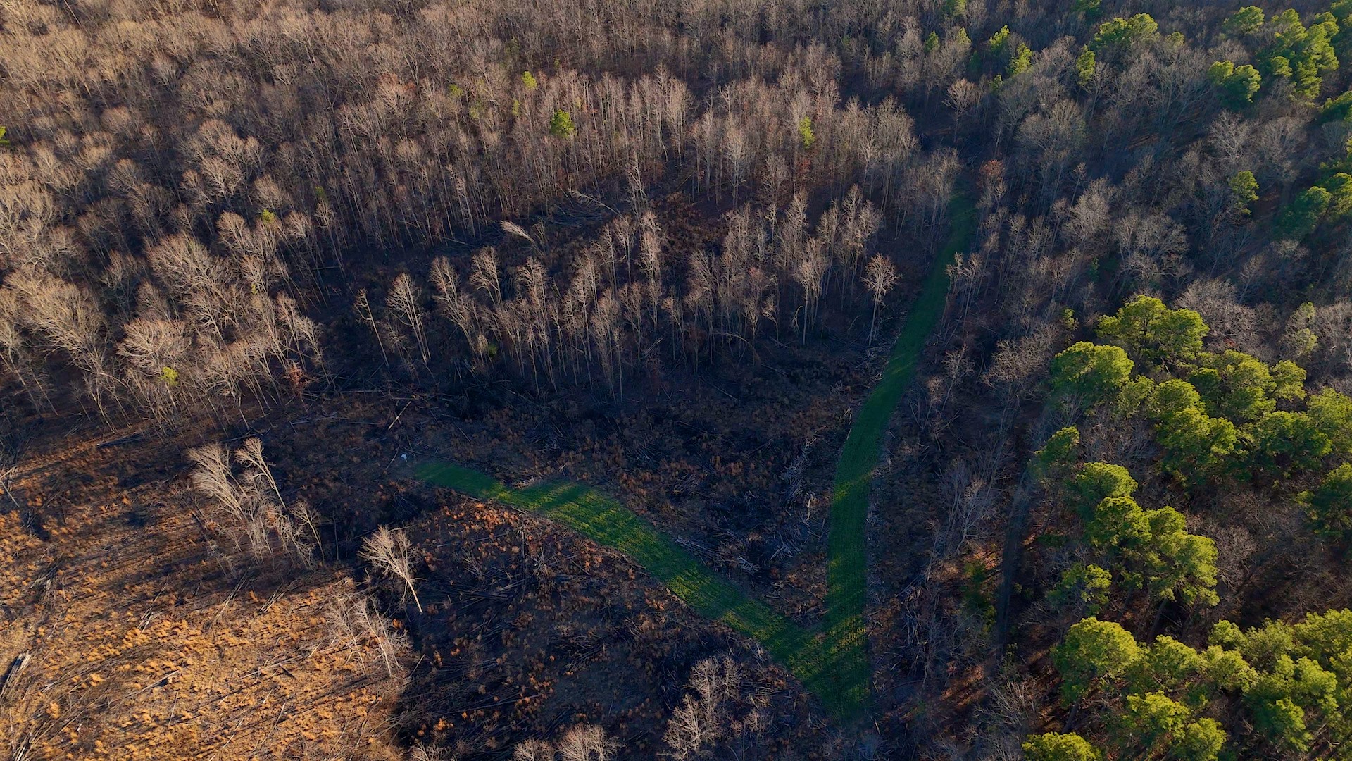275 Preston Baggett Road Tennessee Ridge, TN 37178 - Photo 42 of 100 Gallery Image 42