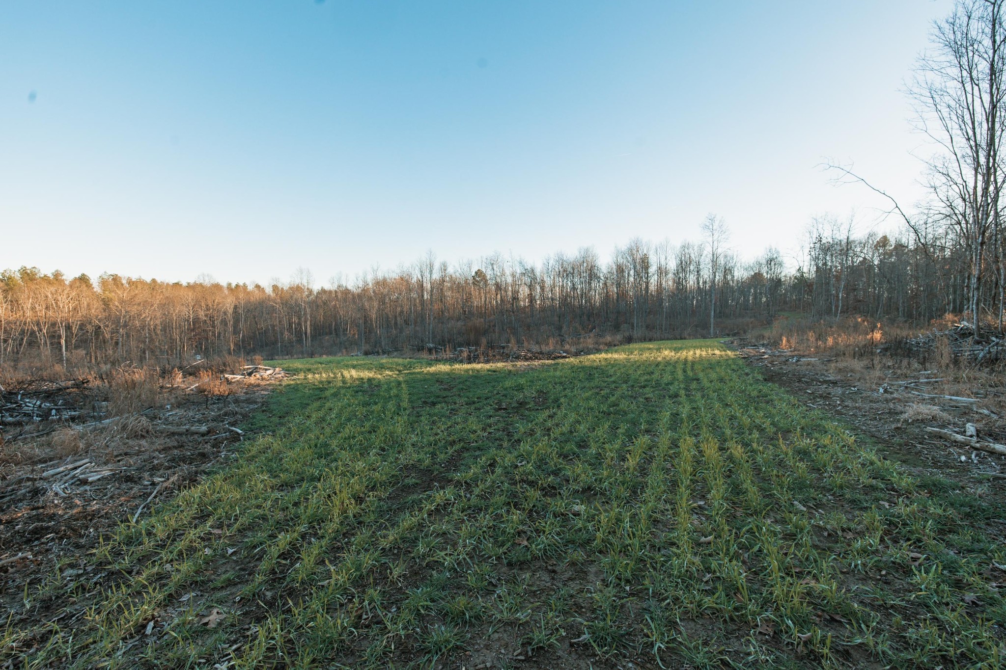 275 Preston Baggett Road Tennessee Ridge, TN 37178 - Photo 43 of 100 Gallery Image 43