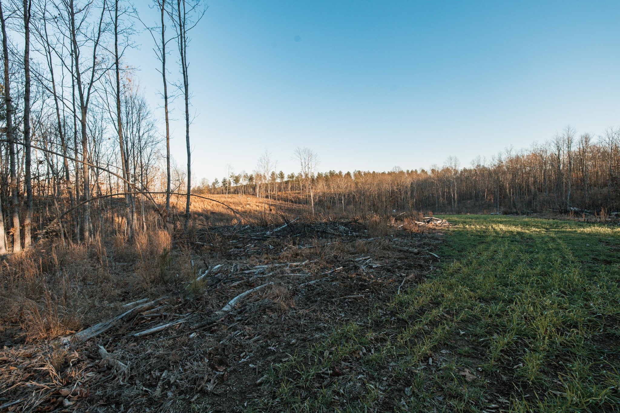 275 Preston Baggett Road Tennessee Ridge, TN 37178 - Photo 44 of 100 Gallery Image 44