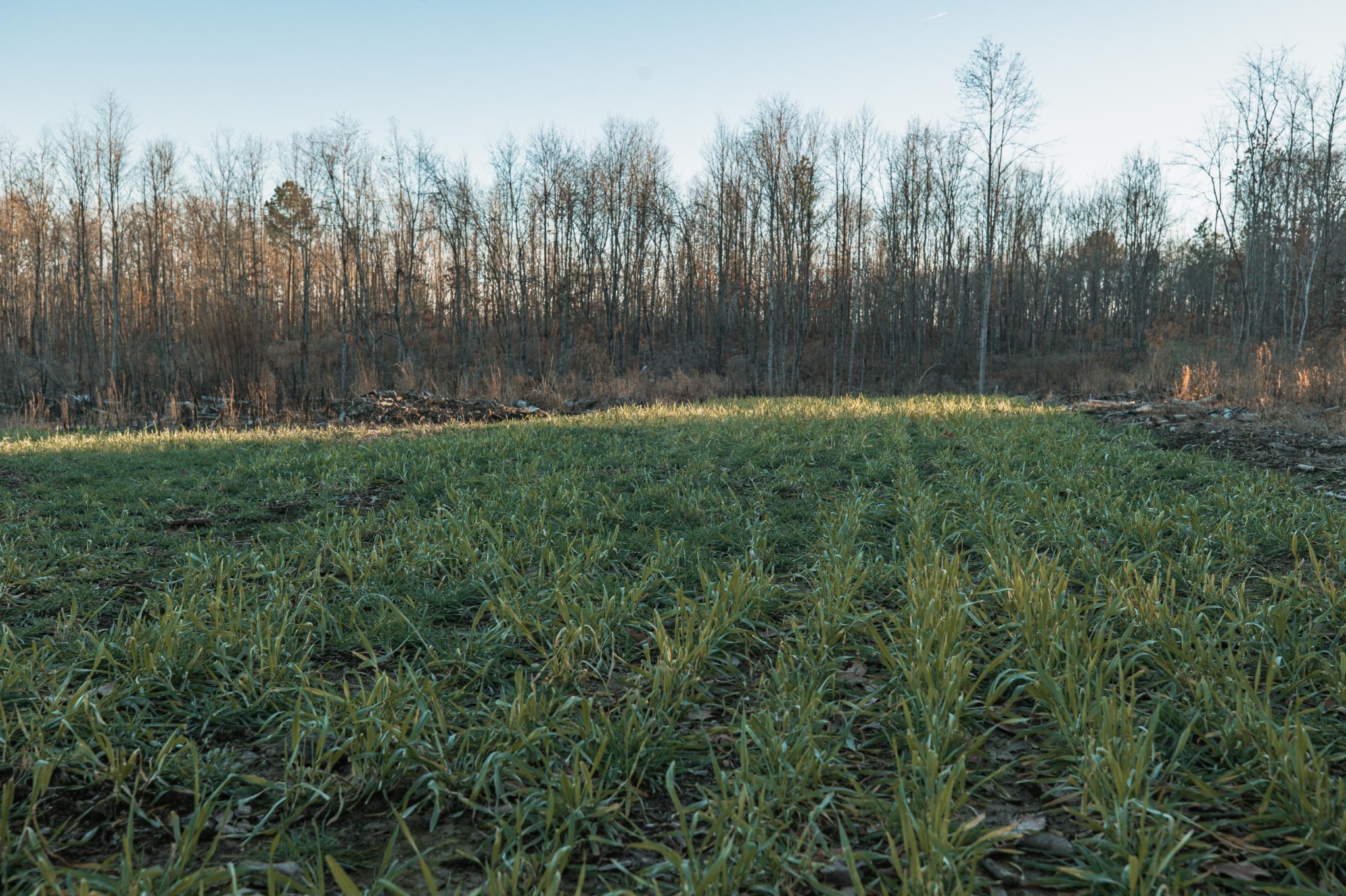 275 Preston Baggett Road Tennessee Ridge, TN 37178 - Photo 45 of 100 Gallery Image 45