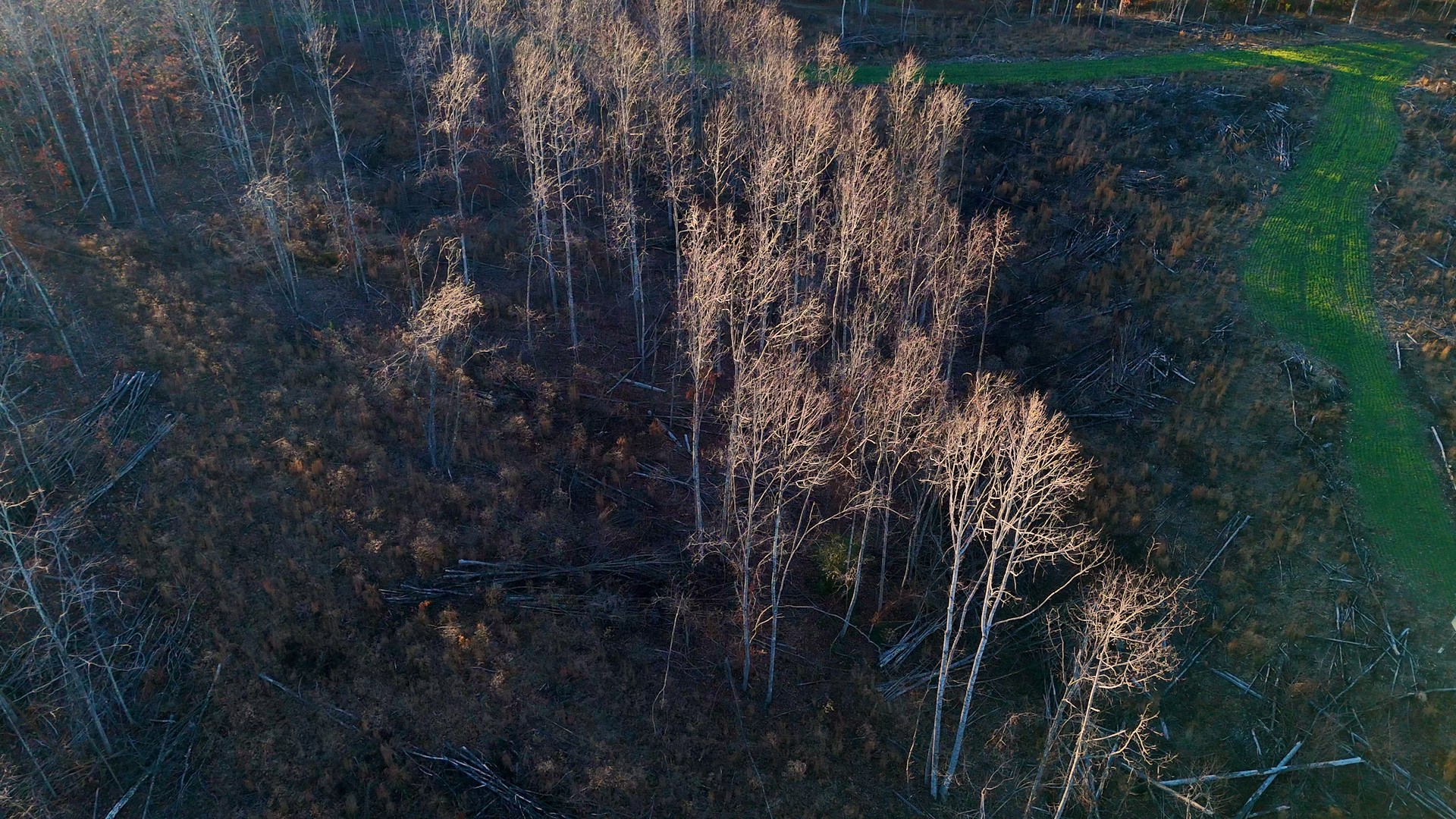 275 Preston Baggett Road Tennessee Ridge, TN 37178 - Photo 46 of 100 Gallery Image 46