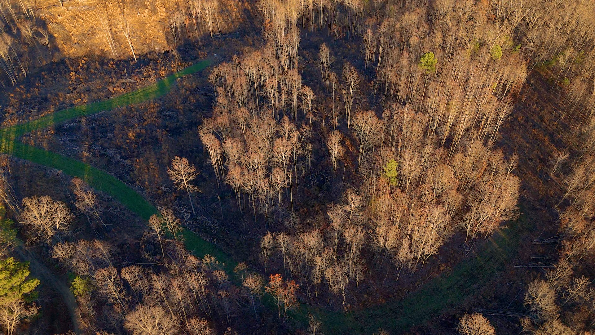 275 Preston Baggett Road Tennessee Ridge, TN 37178 - Photo 47 of 100 Gallery Image 47
