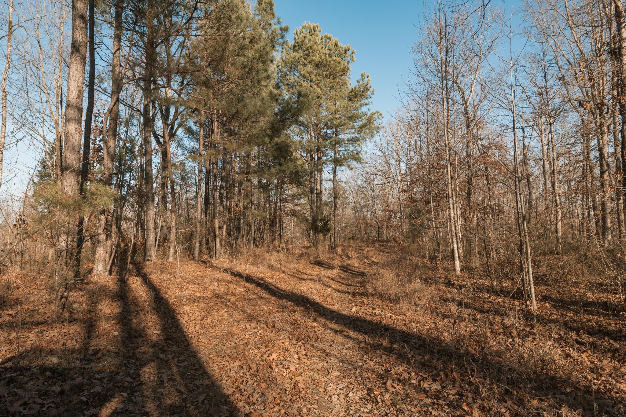275 Preston Baggett Road Tennessee Ridge, TN 37178 - Photo 53 of 100 Gallery Image 53