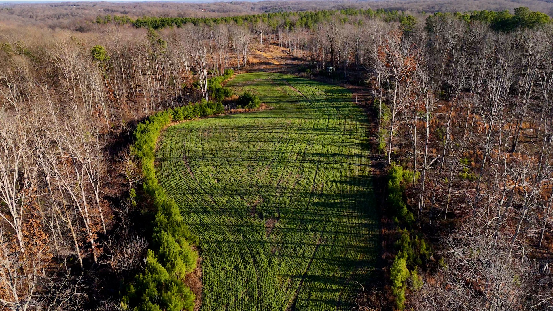 275 Preston Baggett Road Tennessee Ridge, TN 37178 - Photo 54 of 100 Gallery Image 54