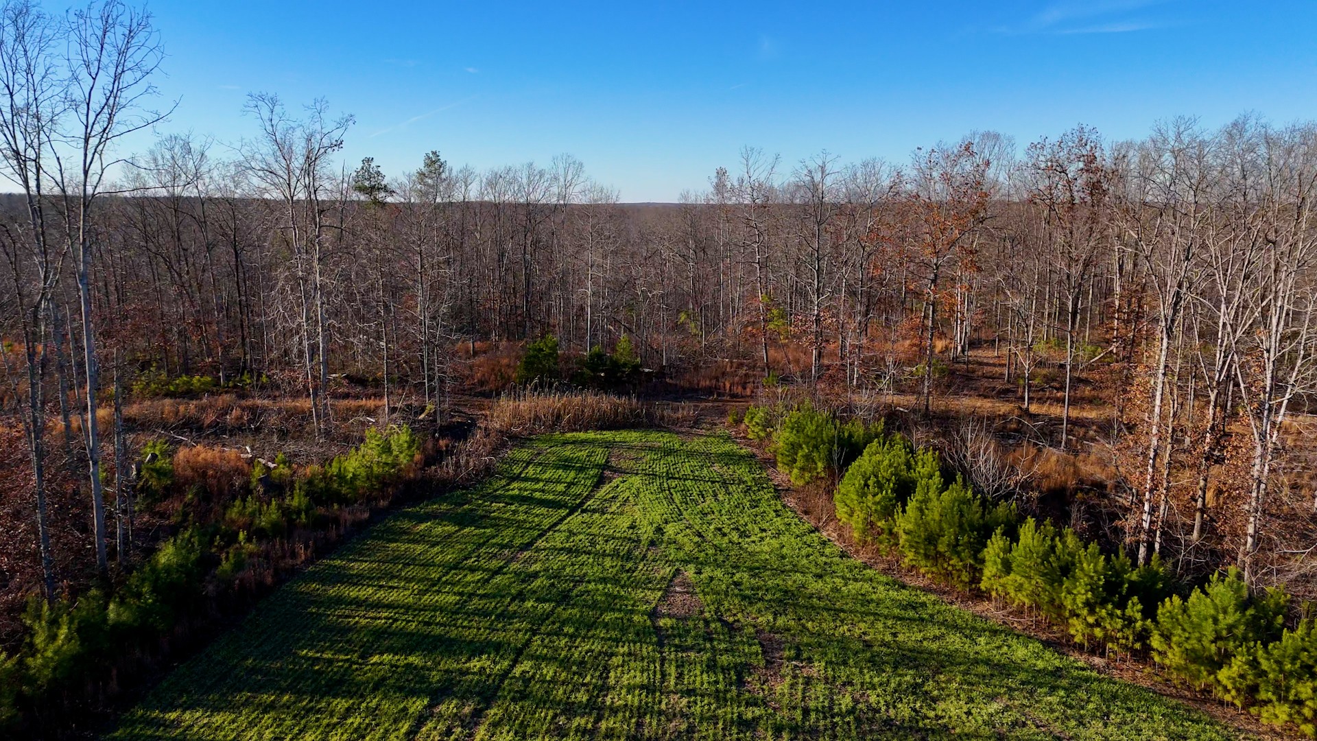 275 Preston Baggett Road Tennessee Ridge, TN 37178 - Photo 56 of 100 Gallery Image 56