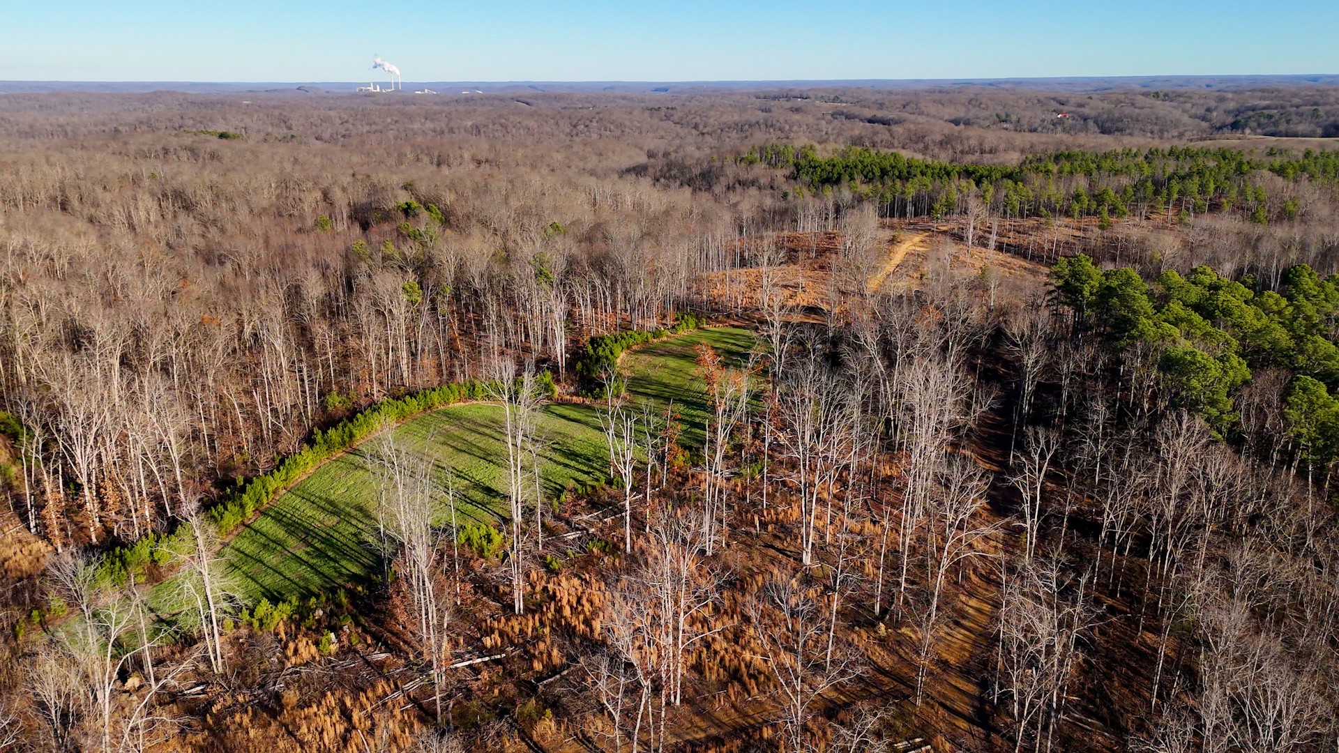 275 Preston Baggett Road Tennessee Ridge, TN 37178 - Photo 58 of 100 Gallery Image 58