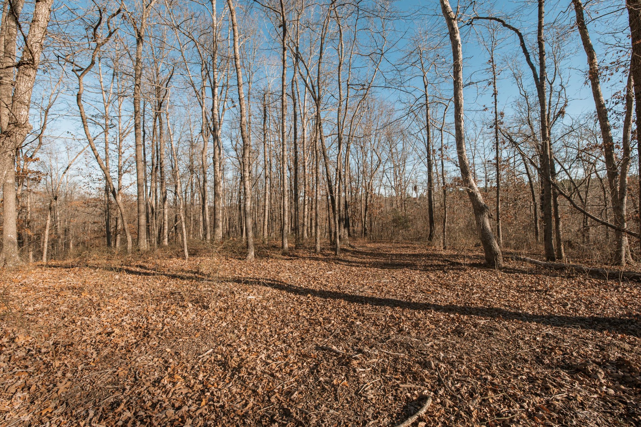 275 Preston Baggett Road Tennessee Ridge, TN 37178 - Photo 61 of 100 Gallery Image 61