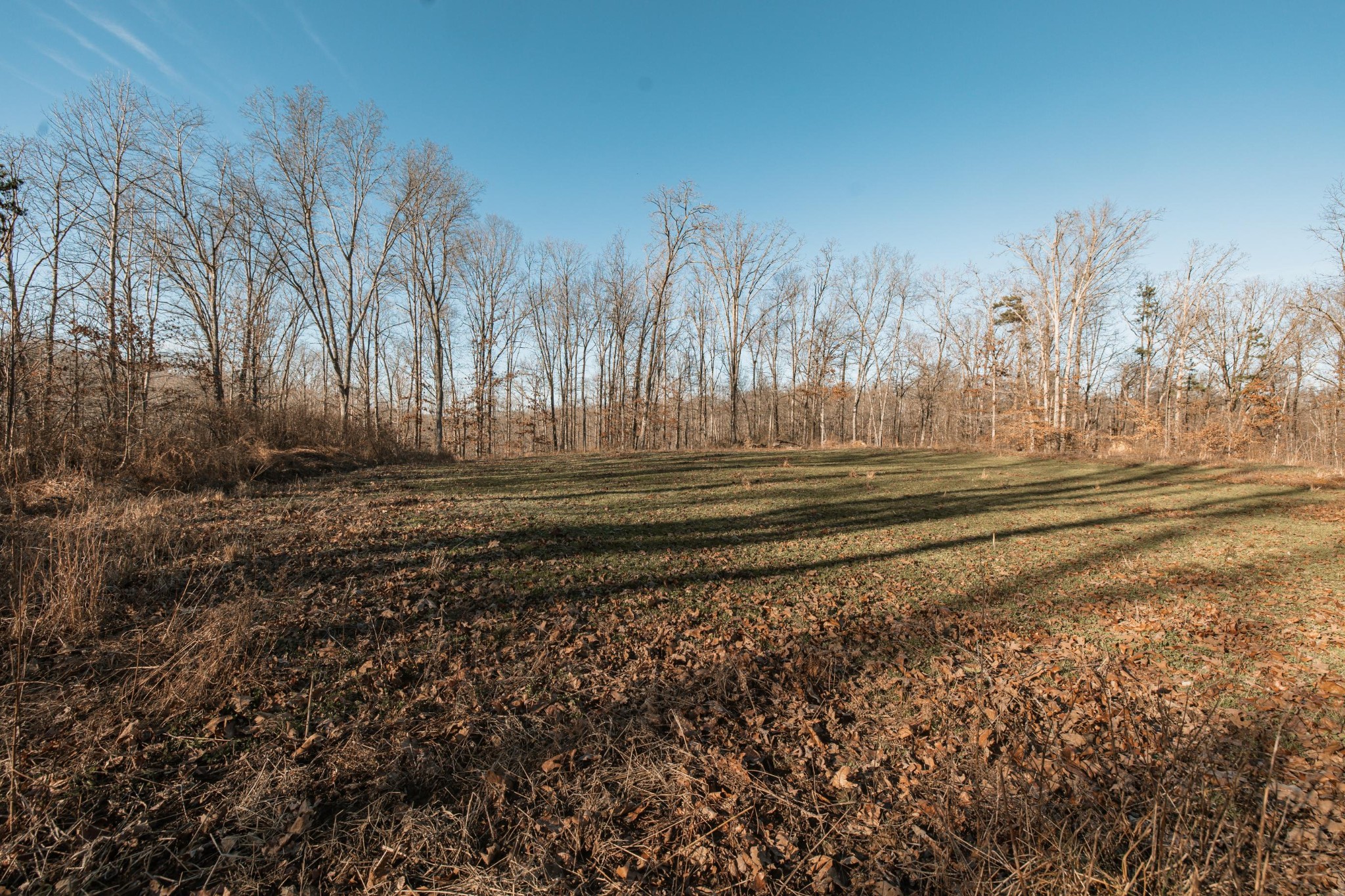 275 Preston Baggett Road Tennessee Ridge, TN 37178 - Photo 62 of 100 Gallery Image 62