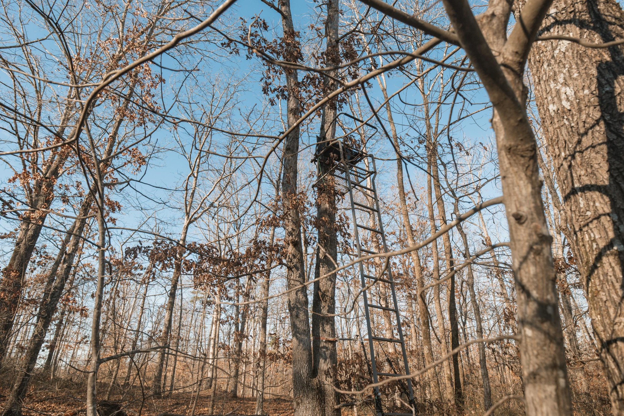 275 Preston Baggett Road Tennessee Ridge, TN 37178 - Photo 63 of 100 Gallery Image 63