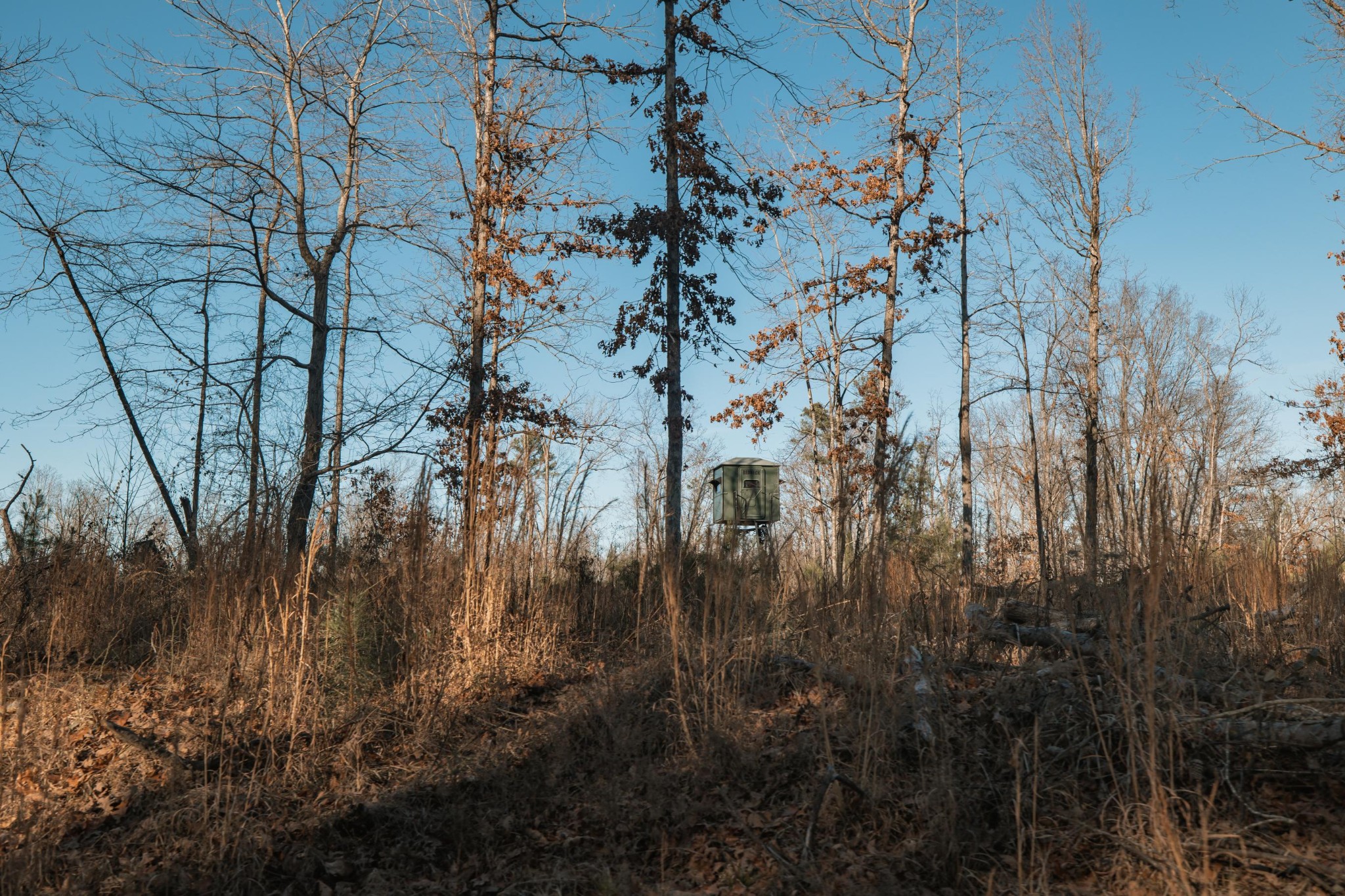 275 Preston Baggett Road Tennessee Ridge, TN 37178 - Photo 65 of 100 Gallery Image 65