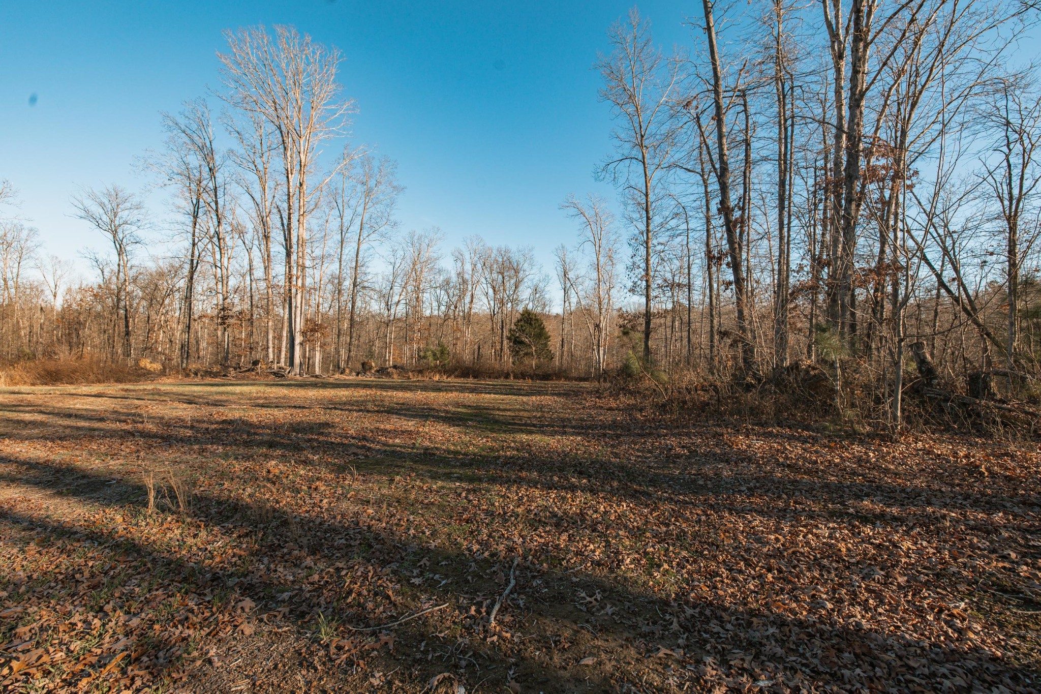275 Preston Baggett Road Tennessee Ridge, TN 37178 - Photo 67 of 100 Gallery Image 67