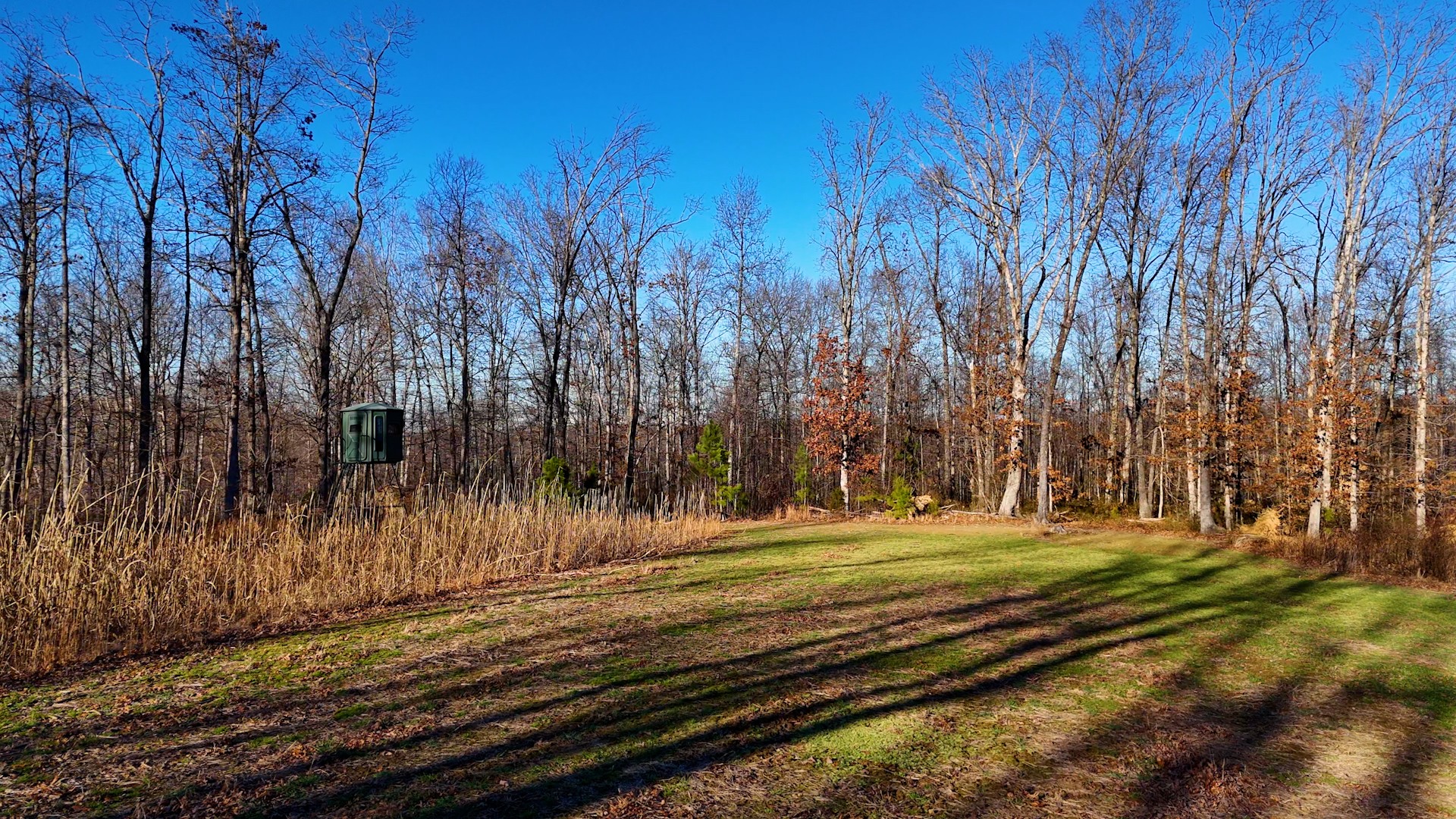275 Preston Baggett Road Tennessee Ridge, TN 37178 - Photo 69 of 100 Gallery Image 69