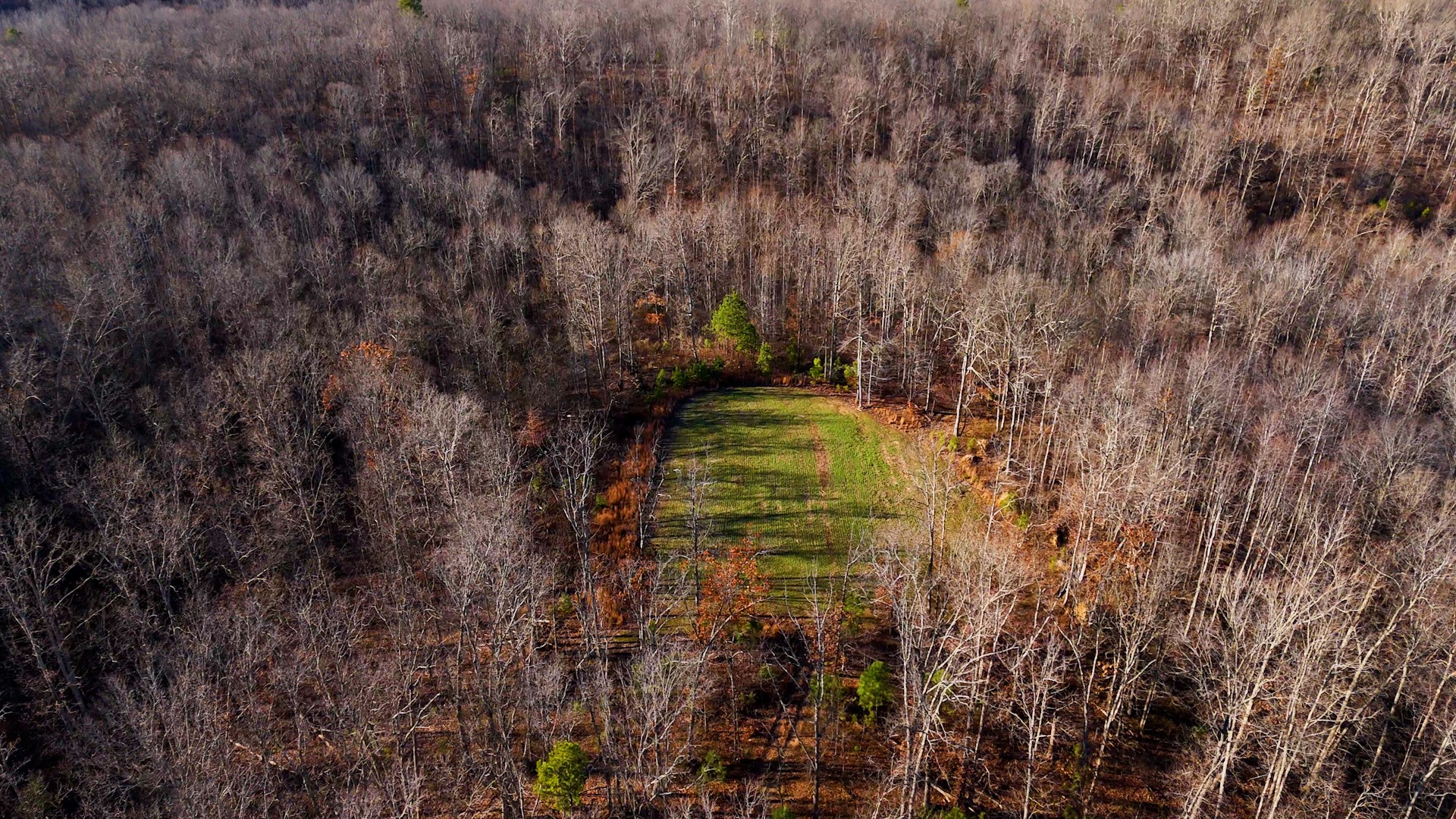 275 Preston Baggett Road Tennessee Ridge, TN 37178 - Photo 70 of 100 Gallery Image 70