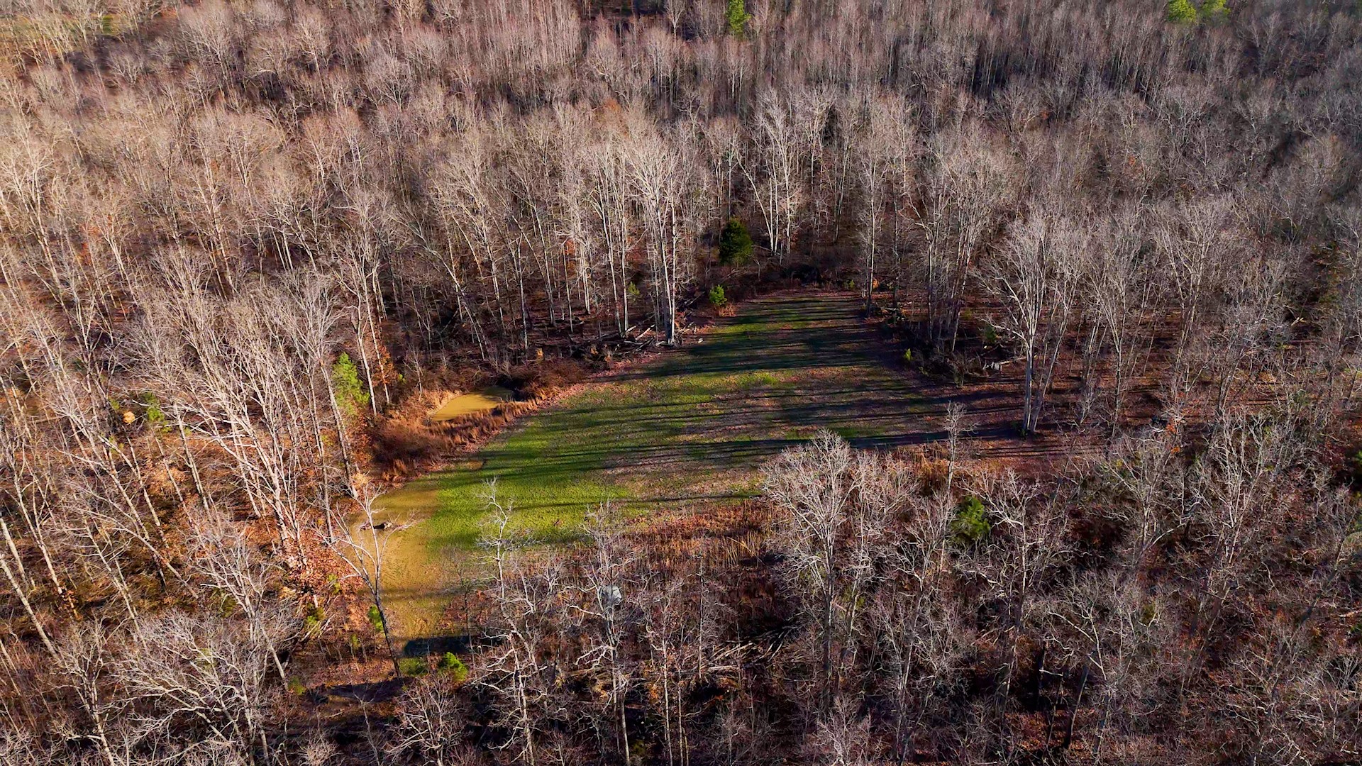 275 Preston Baggett Road Tennessee Ridge, TN 37178 - Photo 71 of 100 Gallery Image 71