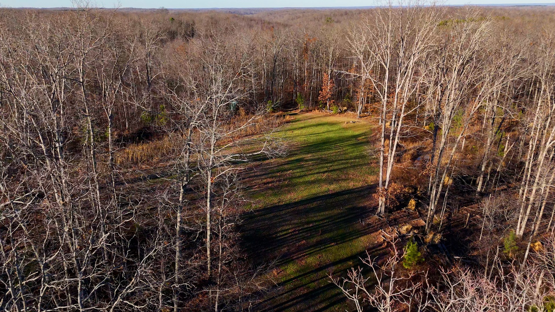 275 Preston Baggett Road Tennessee Ridge, TN 37178 - Photo 72 of 100 Gallery Image 72