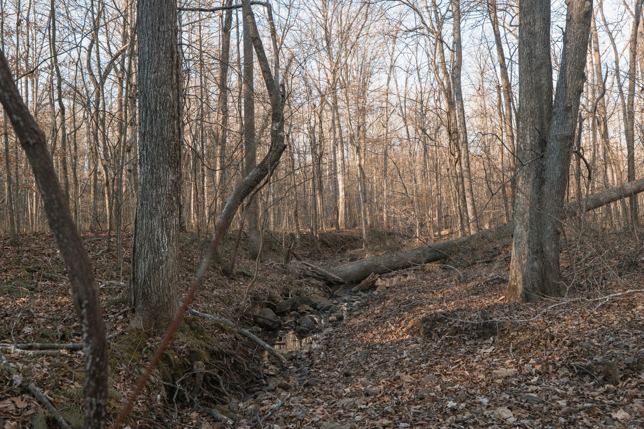 275 Preston Baggett Road Tennessee Ridge, TN 37178 - Photo 73 of 100 Gallery Image 73