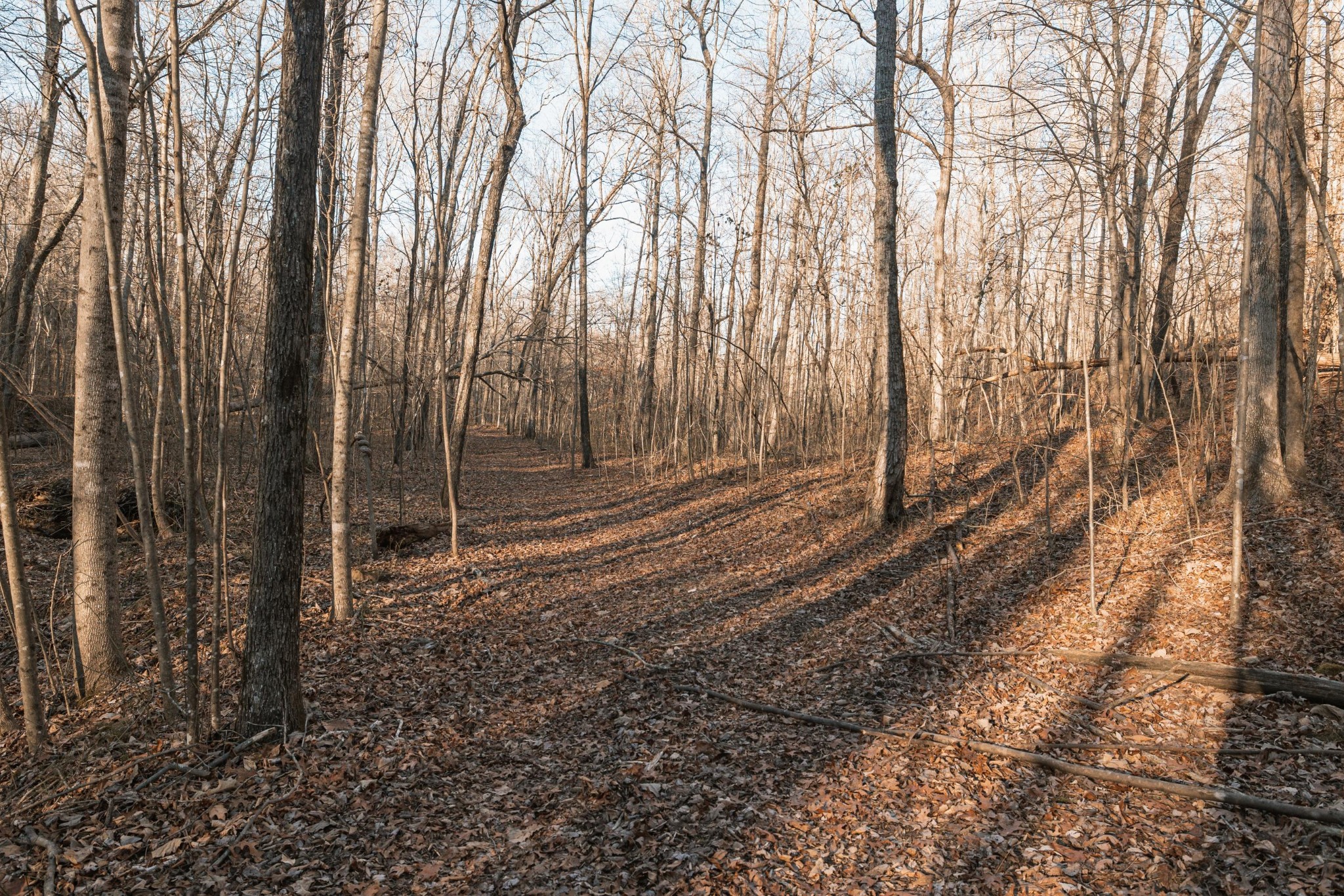 275 Preston Baggett Road Tennessee Ridge, TN 37178 - Photo 74 of 100 Gallery Image 74