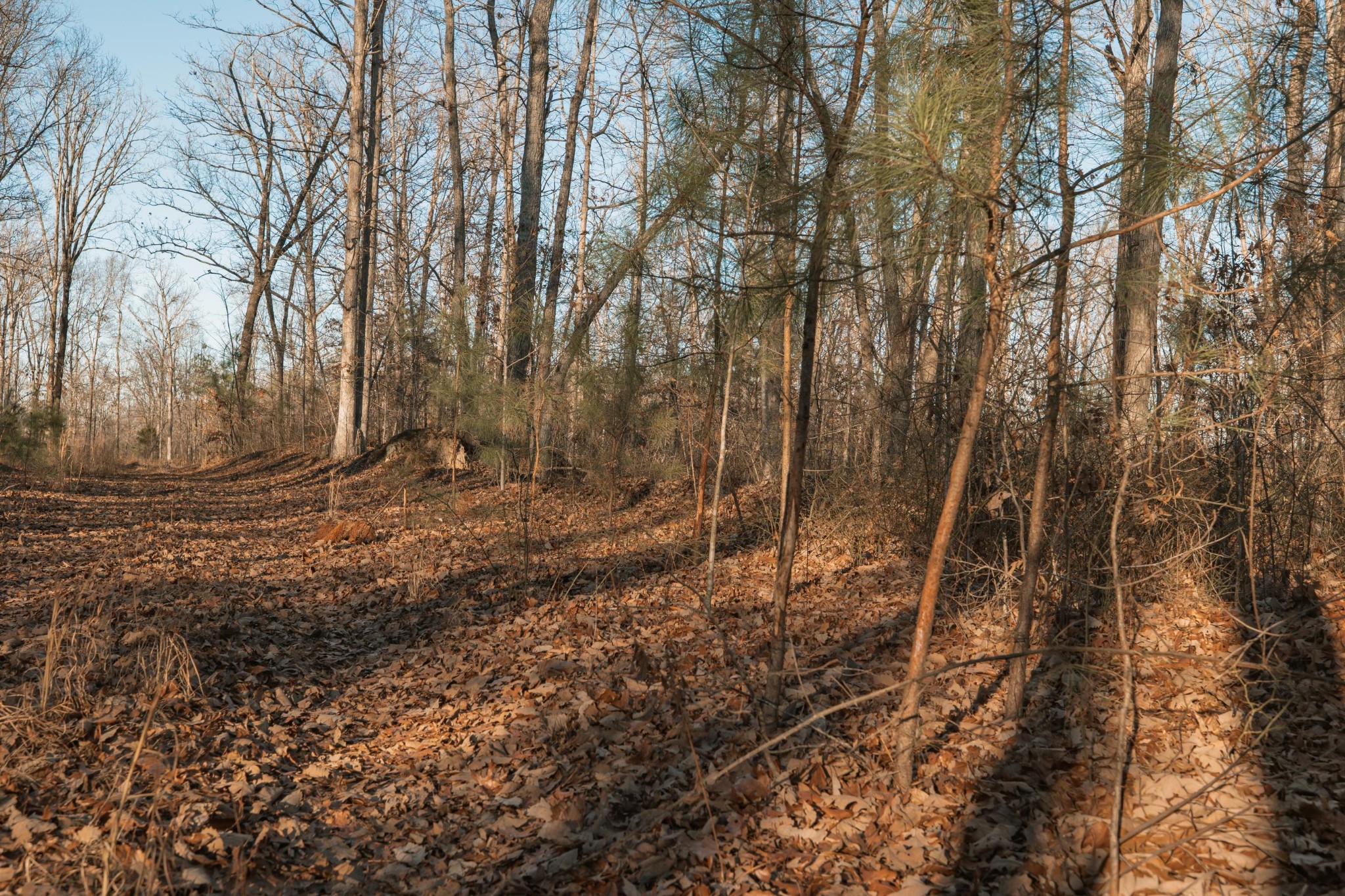 275 Preston Baggett Road Tennessee Ridge, TN 37178 - Photo 75 of 100 Gallery Image 75