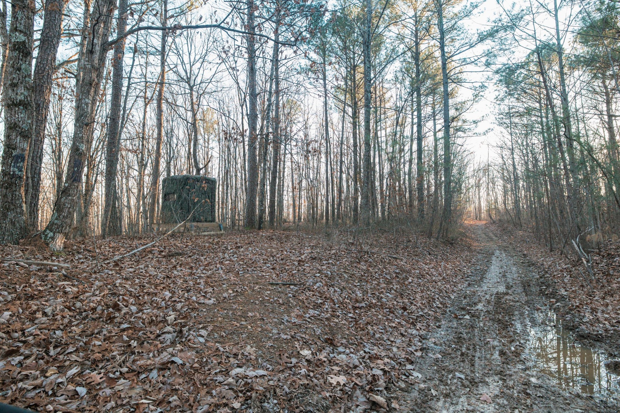 275 Preston Baggett Road Tennessee Ridge, TN 37178 - Photo 77 of 100 Gallery Image 77