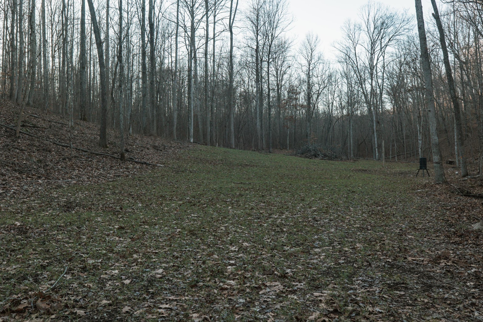 275 Preston Baggett Road Tennessee Ridge, TN 37178 - Photo 79 of 100 Gallery Image 79