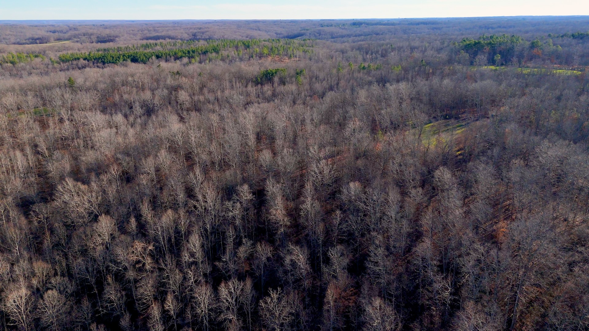 275 Preston Baggett Road Tennessee Ridge, TN 37178 - Photo 82 of 100 Gallery Image 82