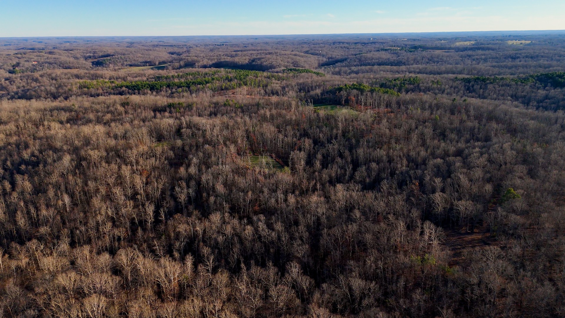275 Preston Baggett Road Tennessee Ridge, TN 37178 - Photo 86 of 100 Gallery Image 86