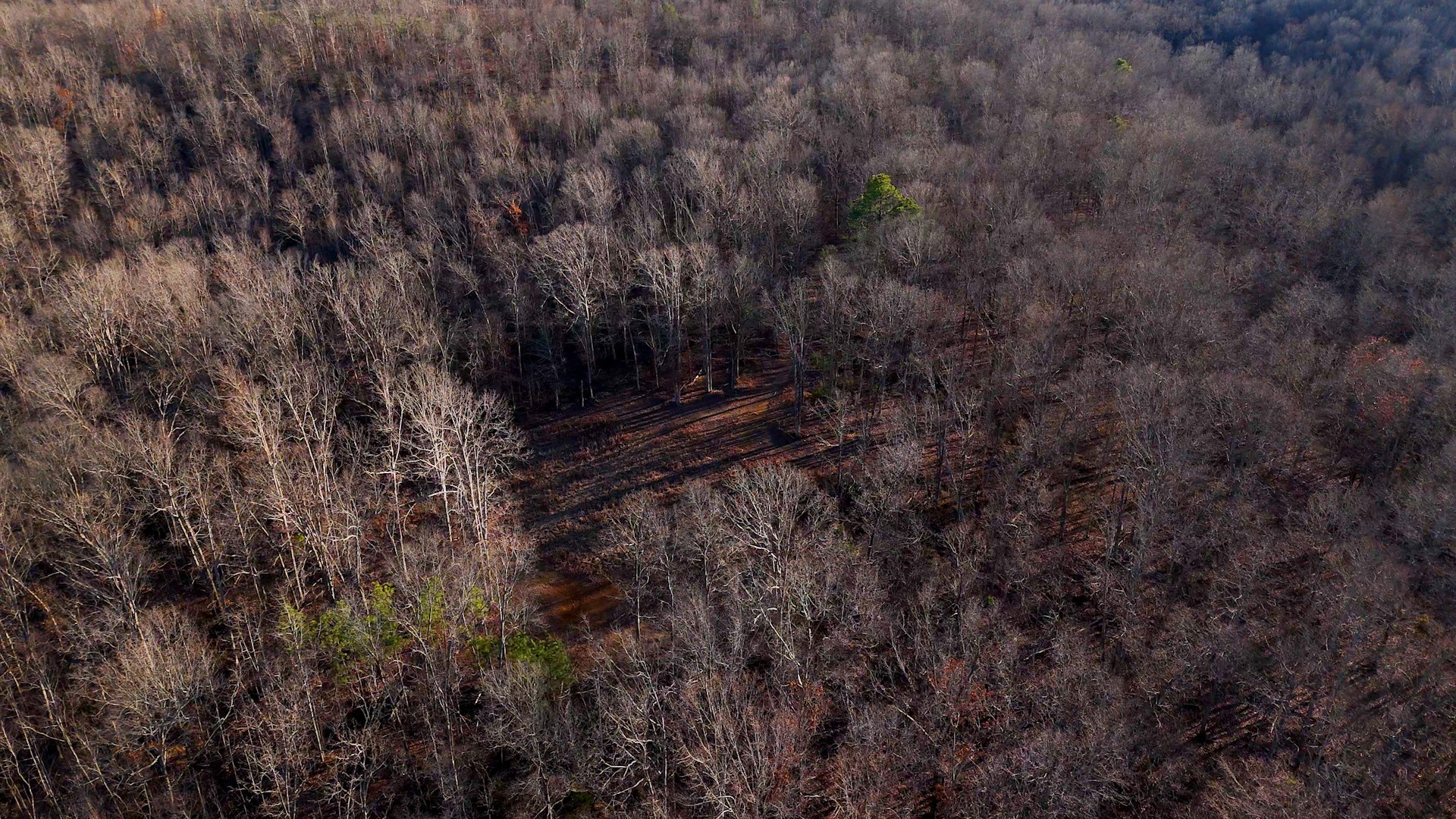 275 Preston Baggett Road Tennessee Ridge, TN 37178 - Photo 87 of 100 Gallery Image 87