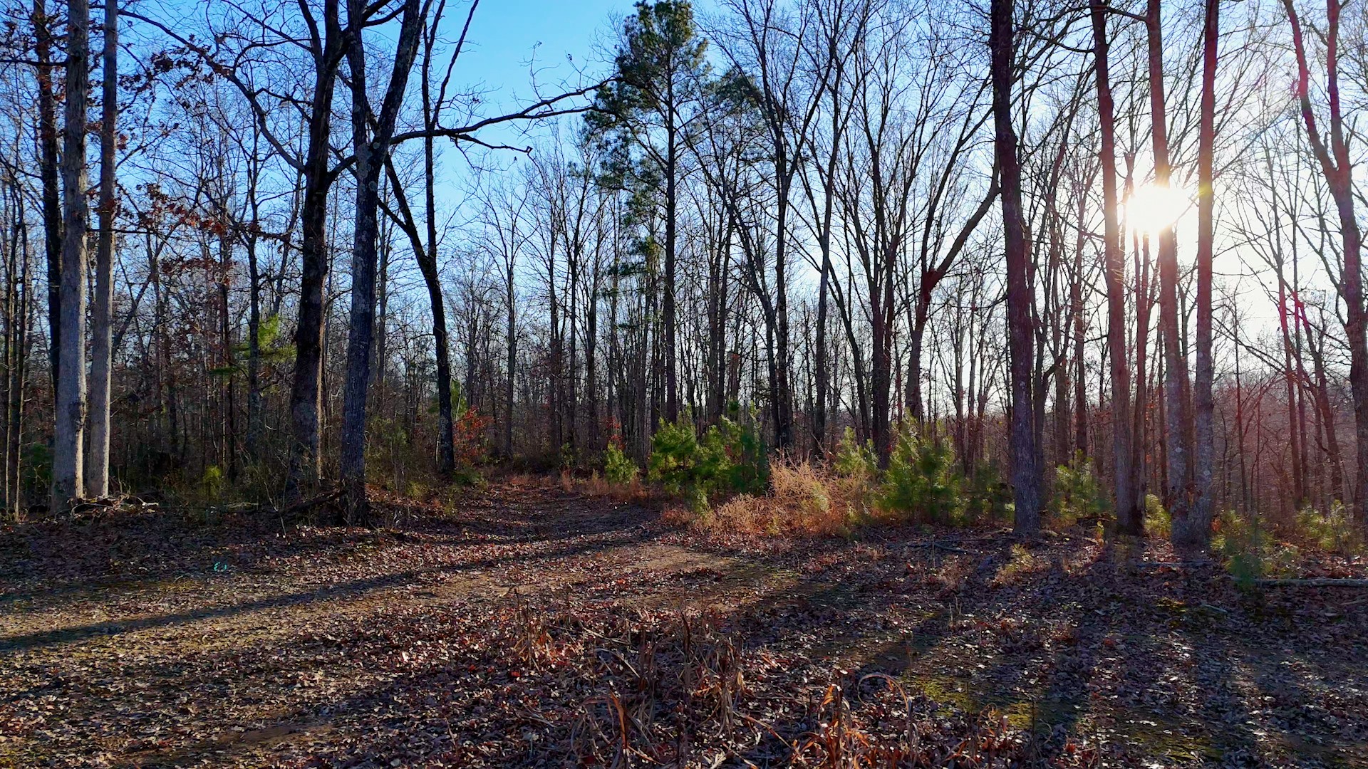 275 Preston Baggett Road Tennessee Ridge, TN 37178 - Photo 90 of 100 Gallery Image 90