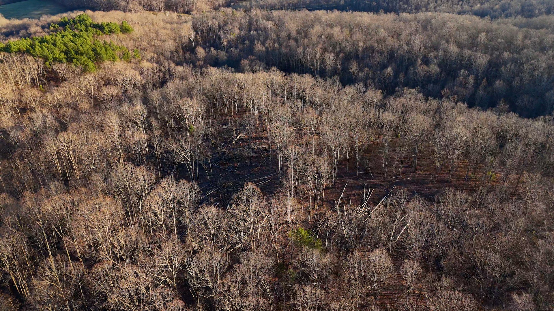 275 Preston Baggett Road Tennessee Ridge, TN 37178 - Photo 91 of 100 Gallery Image 91