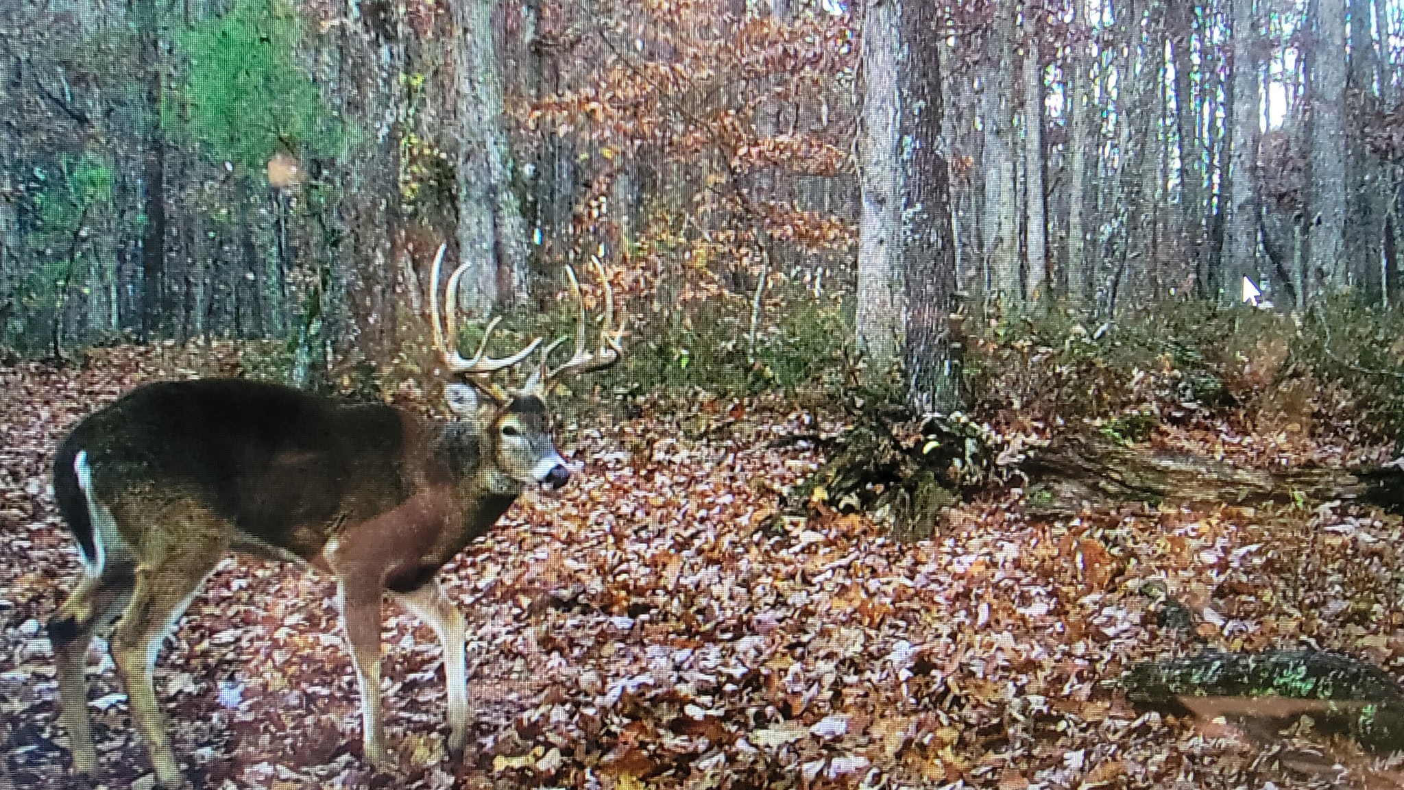 275 Preston Baggett Road Tennessee Ridge, TN 37178 - Photo 93 of 100 Gallery Image 93