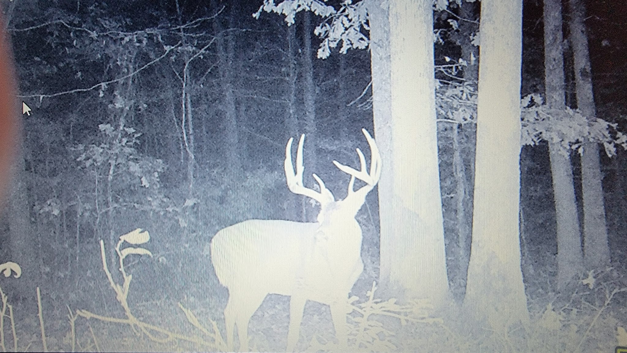 275 Preston Baggett Road Tennessee Ridge, TN 37178 - Photo 98 of 100 Gallery Image 98